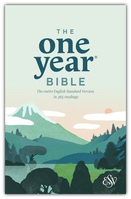 What Version of the Bible Does The Bible Recap Use? How It Shapes Your Bible Reading Experience