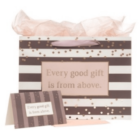 Every Good Gift Bag Set with Card- James 1:17