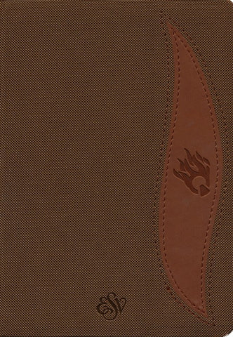 ESV Biblia Fuego Edición Estudiantil