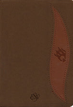 ESV Fire Bible Student Edition