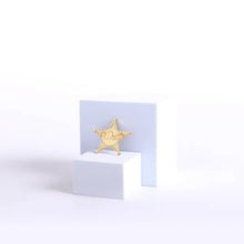 Usher Badge Star Goldstone Pin