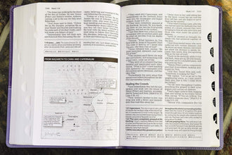 Amplified Study Bible, Leathersoft, Purple, Thumb Indexed