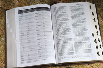 Amplified Study Bible, Leathersoft, Brown, Thumb Indexed