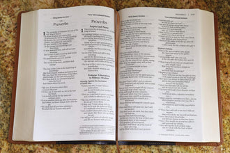 NIV, KJV, Side-by-Side Bible: God's Unchanging Word Across the Centuries, Large Print