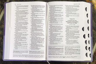 Amplified Study Bible, Leathersoft, Purple, Thumb Indexed