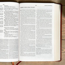 KJV Everyday Study Bible