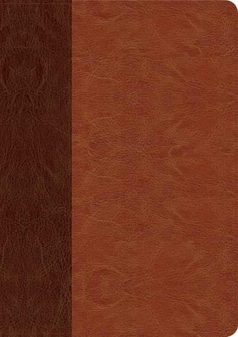 Every Man’s Bible NLT, Large Print: A Bible for Every Battle Every Man Faces, Brown/Tan TuTone, Indexed