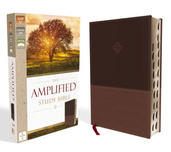 Amplified Study Bible, Leathersoft, Brown, Thumb Indexed