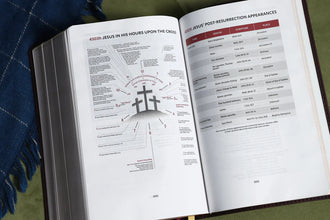 KJV Thompson Chain- Reference Handy Size Bible