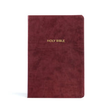 KJV Rainbow Study Bible