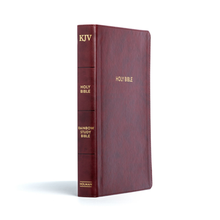 KJV Rainbow Study Bible