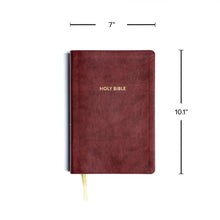 KJV Rainbow Study Bible