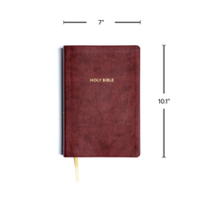 KJV Rainbow Study Bible