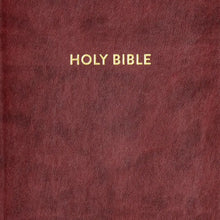 KJV Rainbow Study Bible