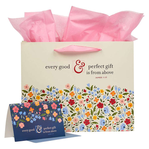 Every Good & Perfect Gift Bag and Card Set- James 1:17