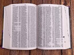 Strong’s Concise Concordance & Vine’s Concise Dictionary