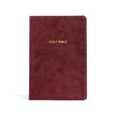 KJV Rainbow Study Bible