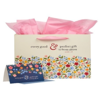 Every Good & Perfect Gift Bag and Card Set- James 1:17