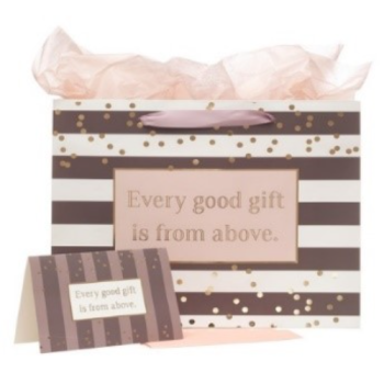 Every Good Gift Bag Set with Card- James 1:17